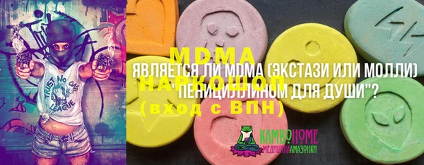 ПСИЛОЦИБИНОВЫЕ ГРИБЫ Богданович